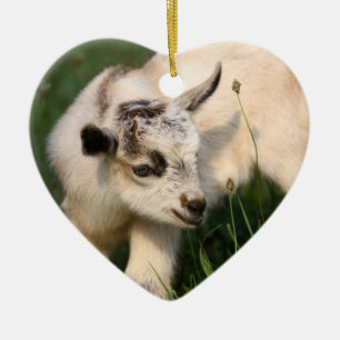 Cute Baby Goat Ceramic Ornament
