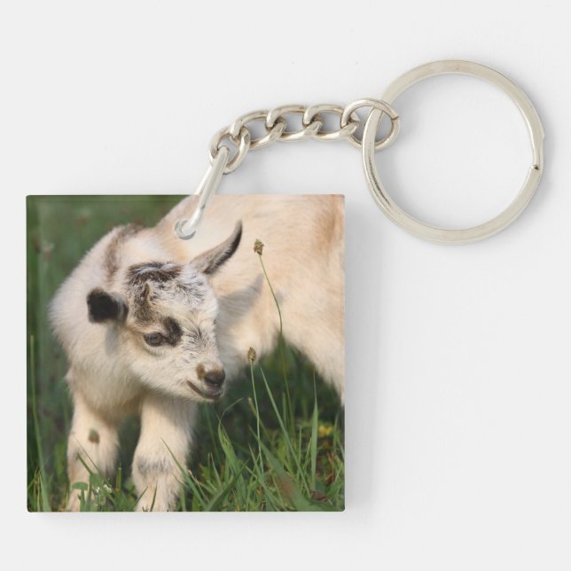 Cute Baby Goat Keychain (Back)