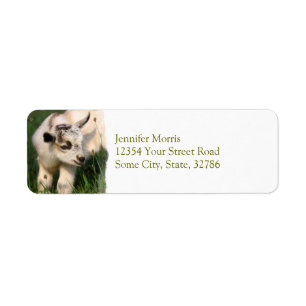 Cute Baby Goat Label