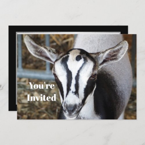 Cute Baby Goat Photo Birthday Invitation