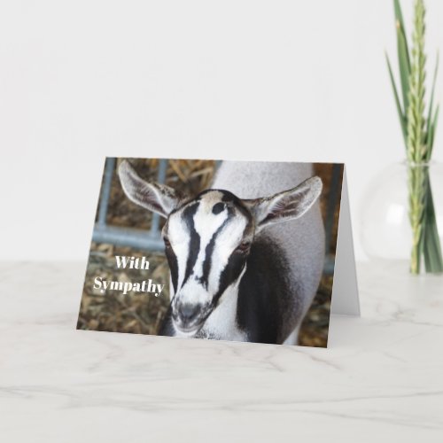 Cute Baby Goat Photo Sympathy Card