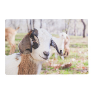 Cute Baby Goat Placemat | Kitchen & Dining