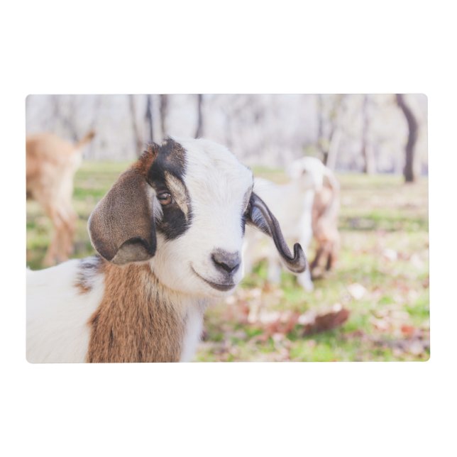 Cute Baby Goat Placemat | Kitchen & Dining (Front)