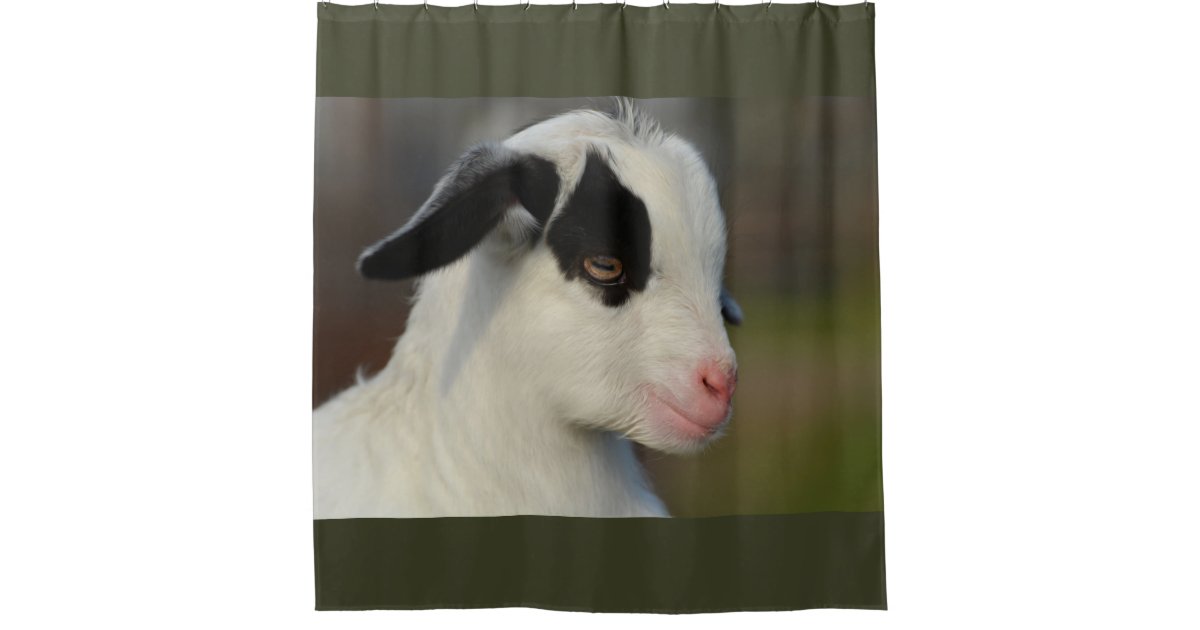 Cute Baby Goat Shower Curtain Zazzle