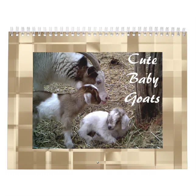 Cute Baby Goats Calendar Zazzle
