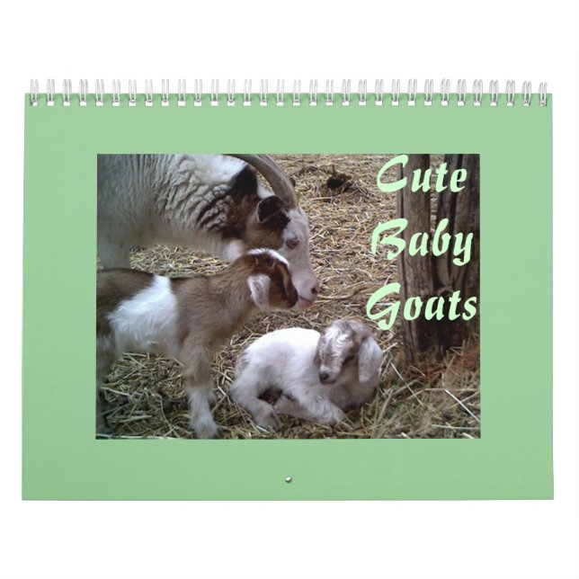 Cute Baby Goats Calendar (Cover)
