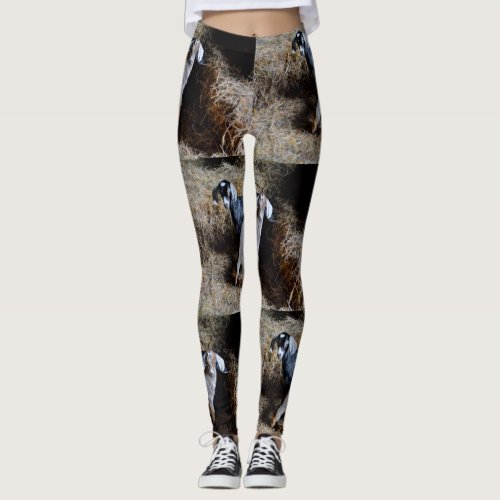 Cute Baby Goats Leggings