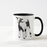 Cute Baby Goats Mug