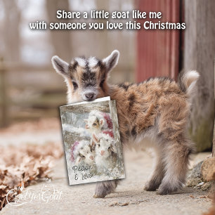 Cute Baby Goats - Snow Babies 10 Christmas Holiday Card