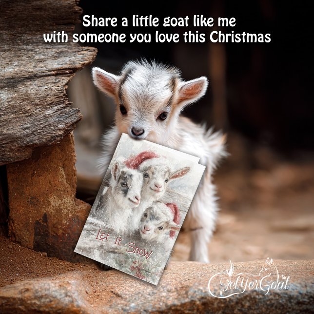 Cute Baby Goats - Snow Babies 2 Christmas Holiday Card (Creator Uploaded)