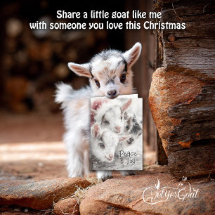 Cute Baby Goats - Snow Babies 4 Christmas Holiday Card