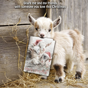 Cute Baby Goats - Snow Babies 5 Christmas Holiday Card