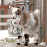 Cute Baby Goats - Snow Babies 6 Christmas Holiday Card