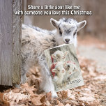 Cute Baby Goats - Snow Babies 9 Christmas Holiday Card