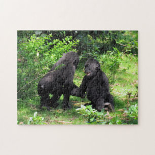 Cute Baby Gorillas Playing Puzzle