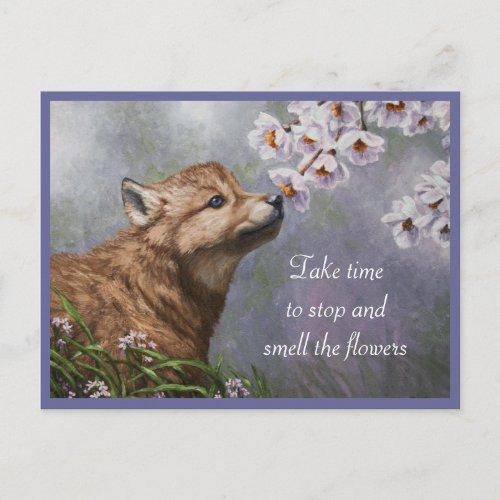 Cute Baby Gray Wolf Pup and Flowers Postcard