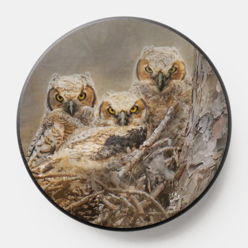 Cute Baby Great Horned Owls Yellow Eyes PopSocket