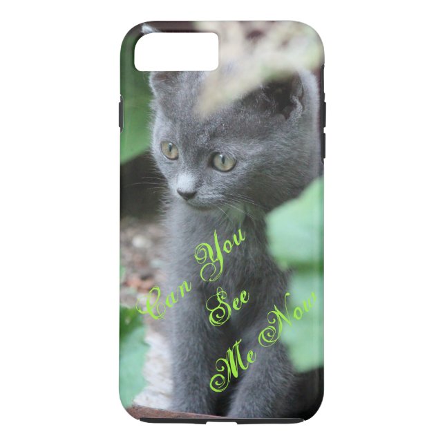 Cute Baby Grey Kitten iPhone Cover (Back)