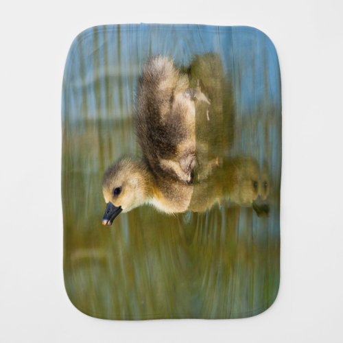 Cute baby Greylag goose Baby Burp Cloth