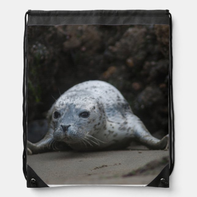 Cute Baby Harbor Seal crawling across Beach Drawstring Bag (Front)