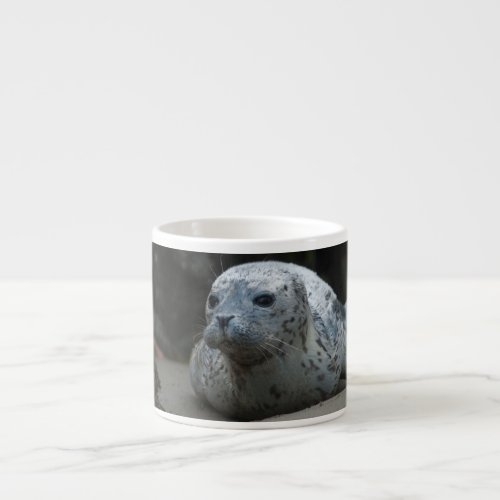 Cute Baby Harbor Seal looking up on  Beach Espresso Cup