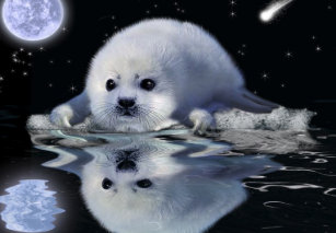 Harp Seal Ipad Cases Zazzle