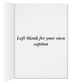 Cute Baby Hedgehog (Inside (Right))