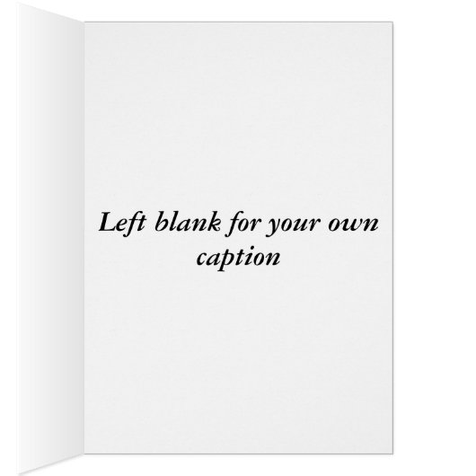 Cute Baby Hedgehog (Inside (Right))