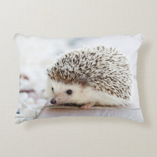 Cute Baby Hedgehog Accent Pillow