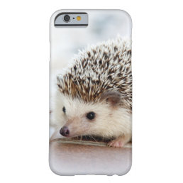 Cute Baby Hedgehog Animal Barely There iPhone 6 Case
