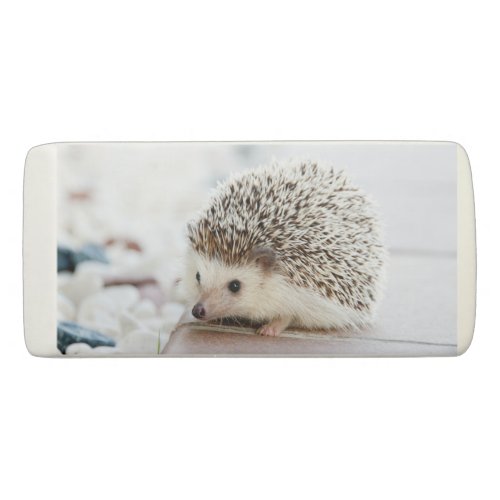 Cute Baby Hedgehog Animal Eraser