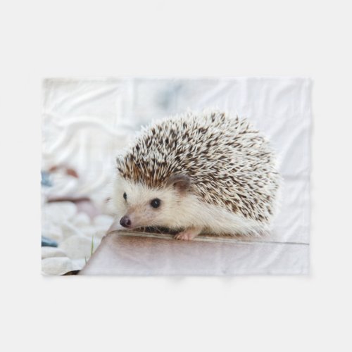 Cute Baby Hedgehog Animal Fleece Blanket