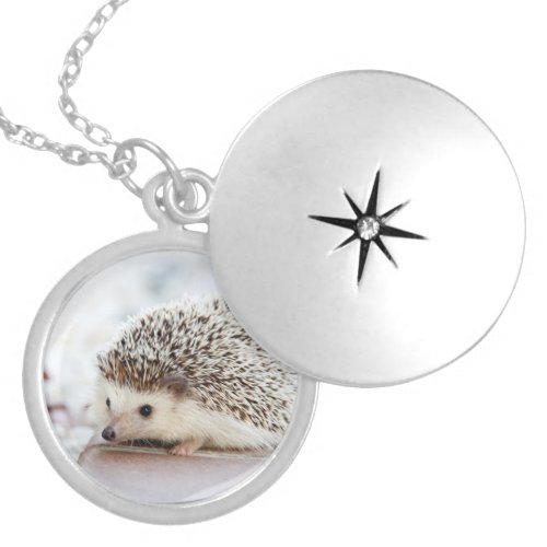 Cute Baby Hedgehog Animal Locket Necklace