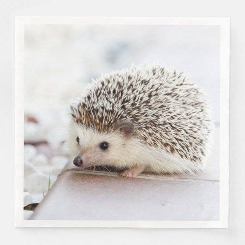 Cute Baby Hedgehog Animal Paper Dinner Napkins