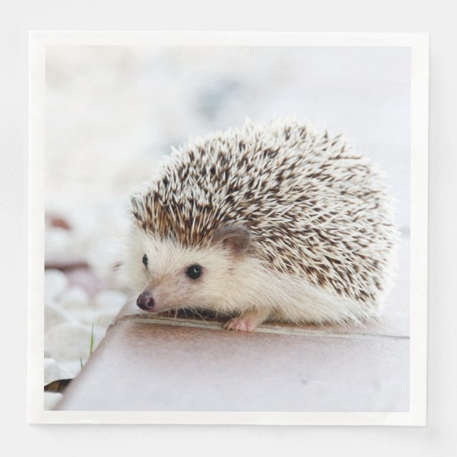 Cute Baby Hedgehog Animal Paper Dinner Napkins (Front)