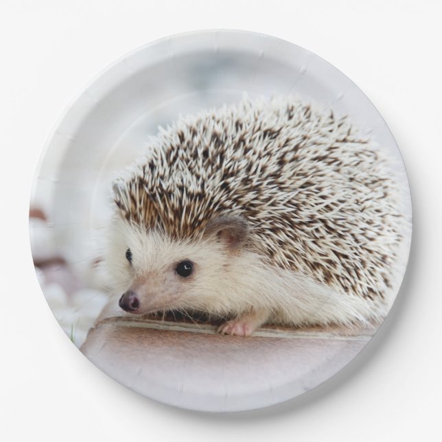 Cute Baby Hedgehog Animal Paper Plates (Front)