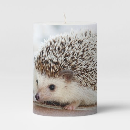 Cute Baby Hedgehog Animal Pillar Candle