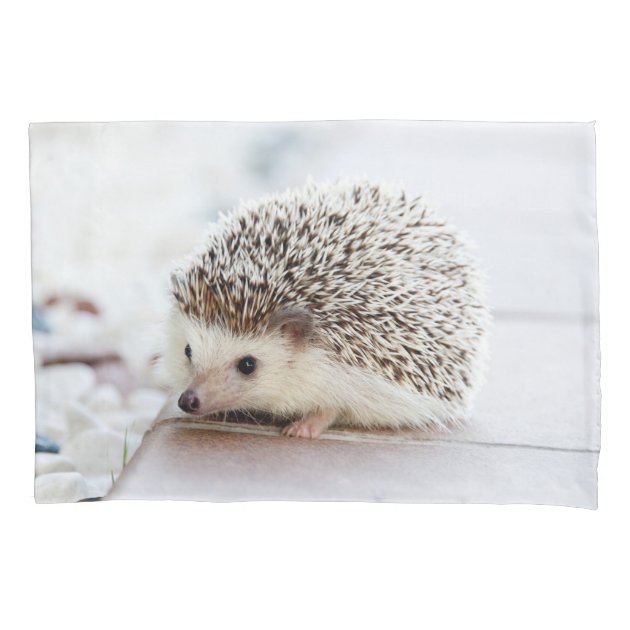 hedgehog pillow case