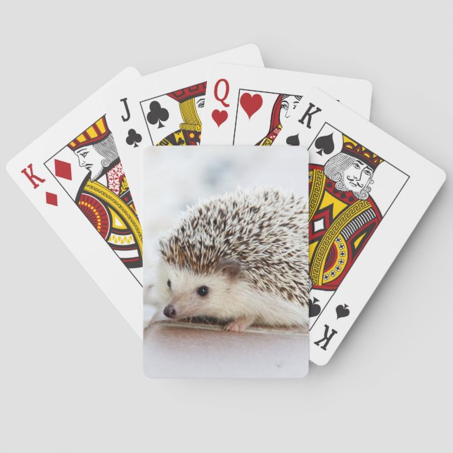Cute Baby Hedgehog Animal Poker Cards (Back)