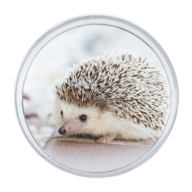 Cute Baby Hedgehog Animal Silver Finish Lapel Pin (Front)