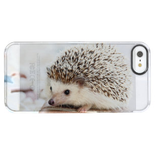 Cute Baby Hedgehog Animal Clear iPhone SE/5/5s Case