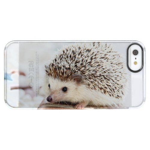 Cute Baby Hedgehog Animal Clear iPhone SE55s Case