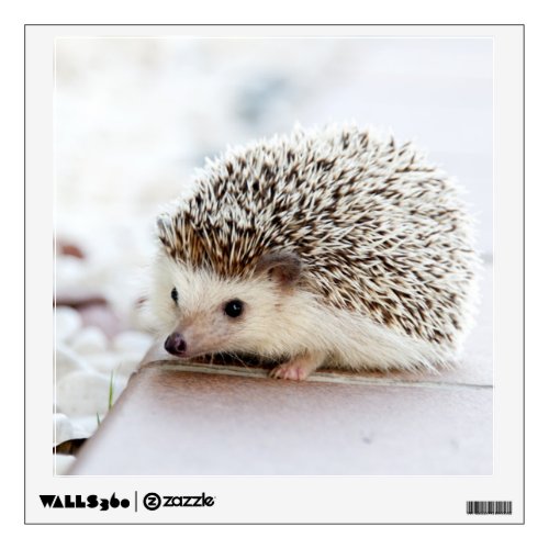 Cute Baby Hedgehog Animal Wall Sticker