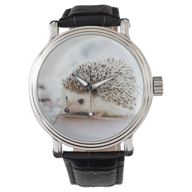 Cute Baby Hedgehog Animal Watch (Front)