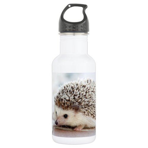 Cute Baby Hedgehog Animal Water Bottle