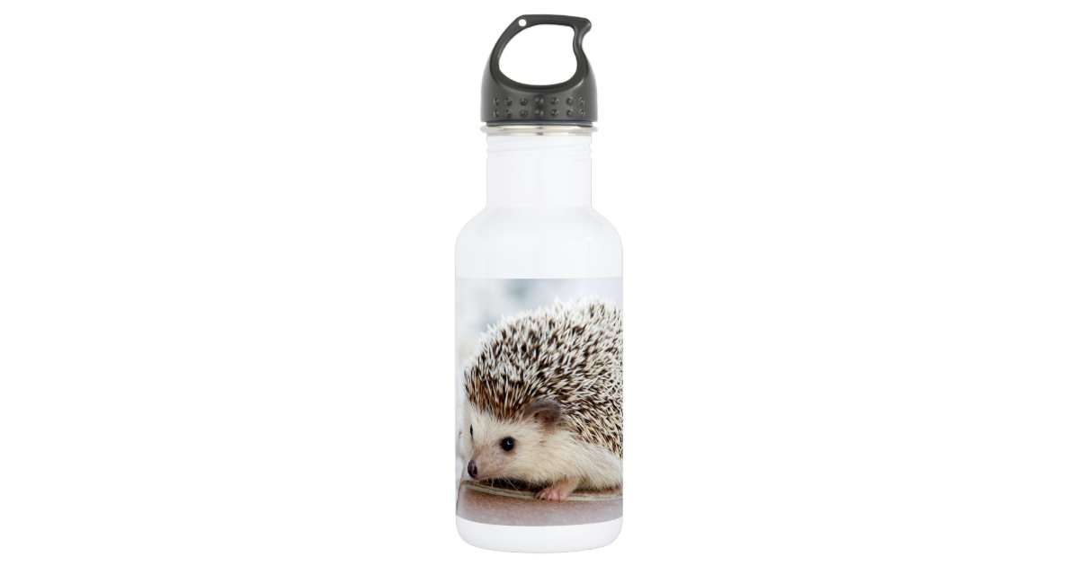Hedgehog Flip and Sip Drink Bottle
