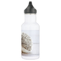 Hedgehog Flip and Sip Drink Bottle