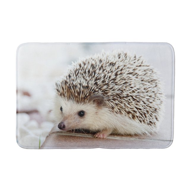 Cute Baby Hedgehog Bathroom Mat (Front)