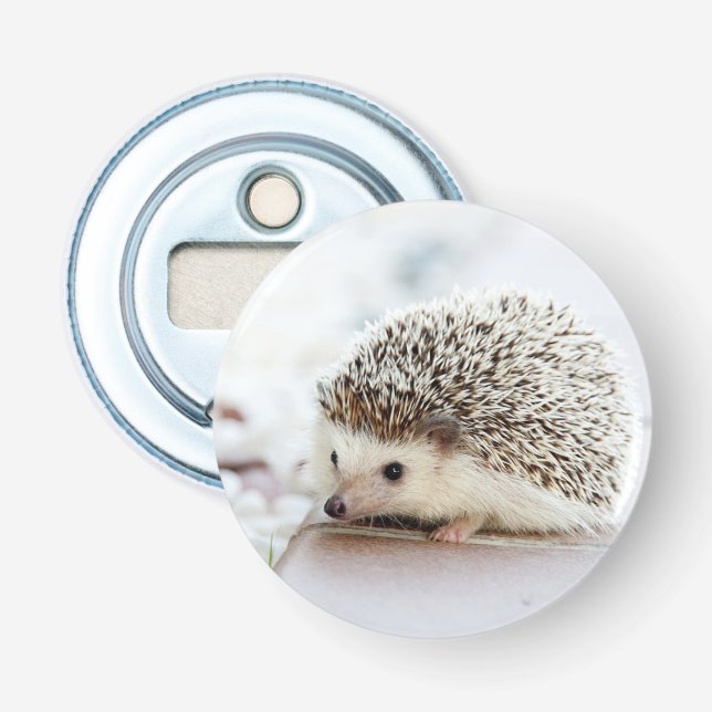 Cute Baby Hedgehog Bottle Opener (Front)