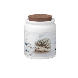 Cute Baby Hedgehog Candy Jar